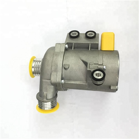 Prominient Brushless Motor DC Water Pump for Car Cooling System